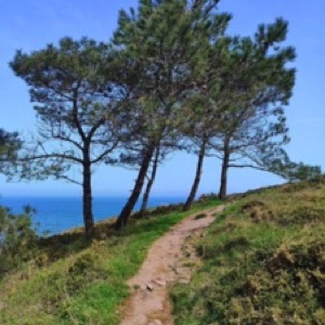 🤩.#landscape #nature #sea #france #bretagne